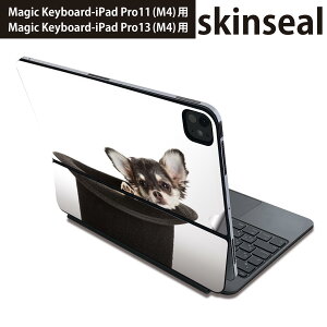 }WbNL[{[h p XLV[ 11C` 13C` iPad Pro11(M4) iPad Pro13(M4)p 2024N 5 Magic Keyboard Ή O w یV[ lC ʐ^@@ 006481