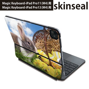 }WbNL[{[h p XLV[ 11C` 13C` iPad Pro11(M4) iPad Pro13(M4)p 2024N 5 Magic Keyboard Ή O w یV[ lC ʐ^@@ 006581