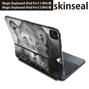 �}�W�b�N�L�[�{�[�h �p �X�L���V�[�� 11�C���` 13�C���` iPad Pro11(M4) iPad Pro13(M4)�p 2024�N���� ��5���� Magic Keyboard �Ή� �O�� �w�� �ی�V�[�� �l�C �ʐ^�@���m�N���@���C�I�� 007626