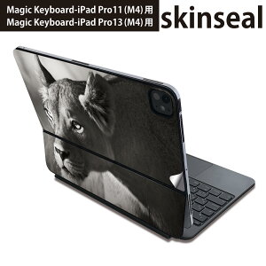 �}�W�b�N�L�[�{�[�h �p �X�L���V�[�� 11�C���` 13�C���` iPad Pro11(M4) iPad Pro13(M4)�p 2024�N���� ��5���� Magic Keyboard �Ή� �O�� �w�� �ی�V�[�� �l�C �ʐ^�@���m�N���@���C�I�� 007806