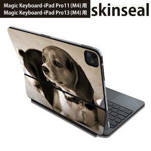 }WbNL[{[h p XLV[ 11C` 13C` iPad Pro11(M4) iPad Pro13(M4)p 2024N 5 Magic Keyboard Ή O w یV[ lC ʐ^@ZsA@ 008194