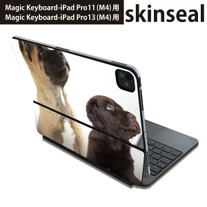 }WbNL[{[h p XLV[ 11C` 13C` iPad Pro11(M4) iPad Pro13(M4)p 2024N 5 Magic Keyboard Ή O w یV[ lC ʐ^@@L 008364