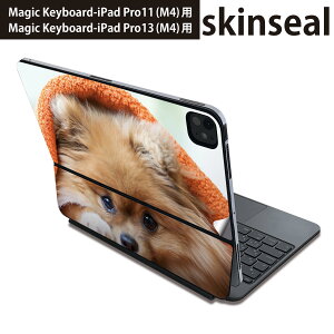 }WbNL[{[h p XLV[ 11C` 13C` iPad Pro11(M4) iPad Pro13(M4)p 2024N 5 Magic Keyboard Ή O w یV[ lC @ʐ^@IW 008644