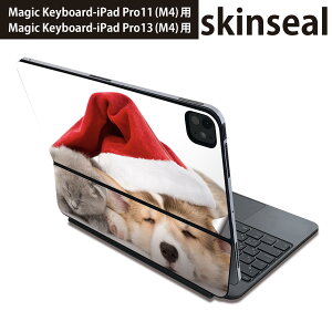 }WbNL[{[h p XLV[ 11C` 13C` iPad Pro11(M4) iPad Pro13(M4)p 2024N 5 Magic Keyboard Ή O w یV[ lC @L@Xq@ʐ^ 008645