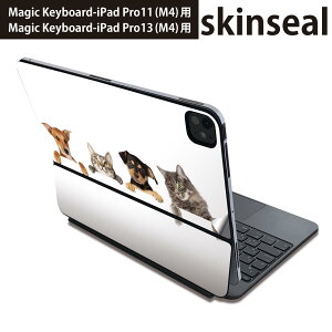 }WbNL[{[h p XLV[ 11C` 13C` iPad Pro11(M4) iPad Pro13(M4)p 2024N 5 Magic Keyboard Ή O w یV[ lC @L@ʐ^ 009675