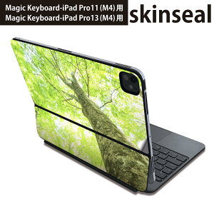 }WbNL[{[h p XLV[ 11C` 13C` iPad Pro11(M4) iPad Pro13(M4)p 2024N 5 Magic Keyboard Ή O w یV[ lC A@΁@ʐ^ 009755