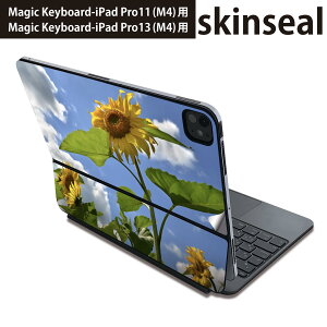 }WbNL[{[h p XLV[ 11C` 13C` iPad Pro11(M4) iPad Pro13(M4)p 2024N 5 Magic Keyboard Ή O w یV[ lC ԁ@Ђ܂@ʐ^ 011366