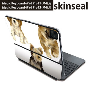 }WbNL[{[h p XLV[ 11C` 13C` iPad Pro11(M4) iPad Pro13(M4)p 2024N 5 Magic Keyboard Ή O w یV[ lC @@Aj} 014619