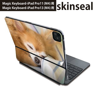 }WbNL[{[h p XLV[ 11C` 13C` iPad Pro11(M4) iPad Pro13(M4)p 2024N 5 Magic Keyboard Ή O w یV[ lC @`@ʐ^ 014826