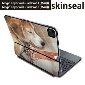 }WbNL[{[h p XLV[ 11C` 13C` iPad Pro11(M4) iPad Pro13(M4)p 2024N 5 Magic Keyboard Ή O w یV[ lC @Q 014838