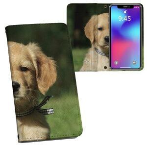 iPhone16 6.1C` p eLA iPhone 16 ʑΉ ʃvg Jo[ iphone16 Ή 蒠^ }Olbg s^bƕ܂ U[P[X J[h[ |Pbg 002580 @@ʐ^