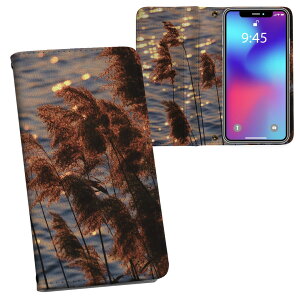 iPhone12 6.1C` p 蒠^ vg P[X Jo[ iPhone 12 / iPhone12 Pro ʑΉ P[X Jo[ 蒠^ }Olbg s^bƕ܂ U[P[X J[h[ |Pbg 023719 ppXO