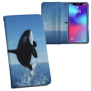 Google Pixel9a p ʃvg P[X Jo[ pixel9a Ή P[X Jo[ 蒠^ }Olbg s^bƕ܂ U[P[X J[h[ |Pbg 010806 V`@@C