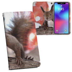 iPhone11 6.1C` p iphone 11 ACtH softbank docomo au ʃvg \   X}z Jo[ U[ P[X 蒠^Cv tbv _CA[ ܂ v tfUC 014830 ~@