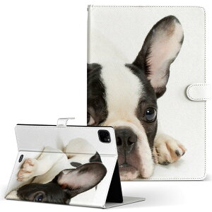 iPad Pro 11 1/2/3 iPad 7/8/9 iPad Air 4 iPad mini 1/2/3/4/5  Ή P[X Jo[ 蒠^ 蒠^Cv 000889  t`uhbN