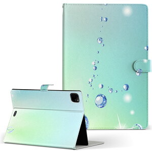 iPad Pro 11 1/2/3 iPad 7/8/9 iPad Air 4 iPad mini 1/2/3/4/5  Ή P[X Jo[ 蒠^ 蒠^Cv 001759 H LL