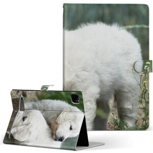 iPad Pro 11 1/2/3 iPad 7/8/9 iPad Air 4 iPad mini 1/2/3/4/5  Ή P[X Jo[ 蒠^ 蒠^Cv 002577