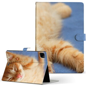 iPad Pro 11 1/2/3 iPad 7/8/9 iPad Air 4 iPad mini 1/2/3/4/5  Ή P[X Jo[ 蒠^ 蒠^Cv 002759 L  ʐ^