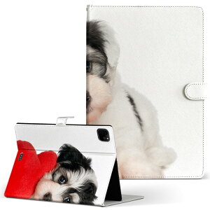 iPad Pro 11 1/2/3 iPad 7/8/9 iPad Air 4 iPad mini 1/2/3/4/5  Ή P[X Jo[ 蒠^ 蒠^Cv 002793   ʐ^