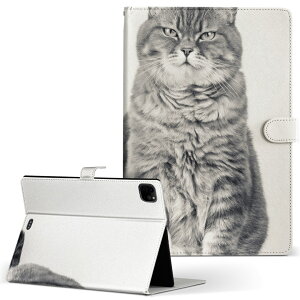iPad Pro 11 1/2/3 iPad 7/8/9 iPad Air 4 iPad mini 1/2/3/4/5  Ή P[X Jo[ 蒠^ 蒠^Cv 002901 L  ʐ^