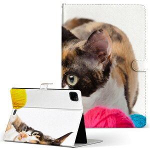 iPad Pro 11 1/2/3���� iPad 7/8/9���� iPad Air 4���� iPad mini 1/2/3/4/5 ���� �Ή� �P�[�X �J�o�[ �蒠�^ �蒠�^�C�v 005939 �ʐ^ ���� �L �˂�