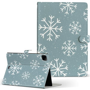 iPad Pro 11 1/2/3 iPad 7/8/9 iPad Air 4 iPad mini 1/2/3/4/5  Ή P[X Jo[ 蒠^ 蒠^Cv 050068