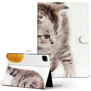 iPad Pro 11 1/2/3 iPad 7/8/9 iPad Air 4 iPad mini 1/2/3/4/5  Ή P[X Jo[ 蒠^ 蒠^Cv 006228 ʐ^ lR ˂