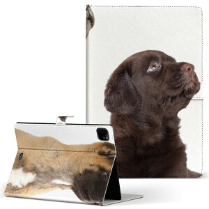 iPad Pro 11 1/2/3 iPad 7/8/9 iPad Air 4 iPad mini 1/2/3/4/5  Ή P[X Jo[ 蒠^ 蒠^Cv 008364 ʐ^  L