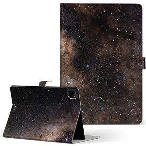 iPad Pro 11 1/2/3 iPad 7/8/9 iPad Air 4 iPad mini 1/2/3/4/5  Ή P[X Jo[ 蒠^ 蒠^Cv 010192 F  ʐ^