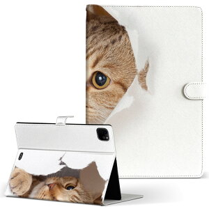 iPad Pro 11 1/2/3 iPad 7/8/9 iPad Air 4 iPad mini 1/2/3/4/5  Ή P[X Jo[ 蒠^ 蒠^Cv 013566 L ʐ^