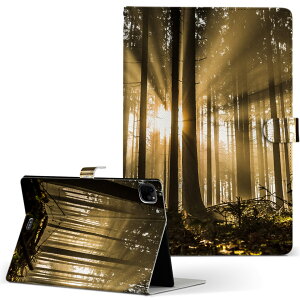 iPad Pro 11 1/2/3 iPad 7/8/9 iPad Air 4 iPad mini 1/2/3/4/5  Ή P[X Jo[ 蒠^ 蒠^Cv 018321 X ʐ^