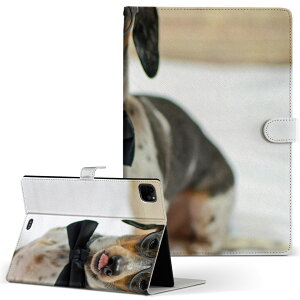 iPad Pro 11 1/2/3 iPad 7/8/9 iPad Air 4 iPad mini 1/2/3/4/5  Ή P[X Jo[ 蒠^ 蒠^Cv 018326  ʐ^