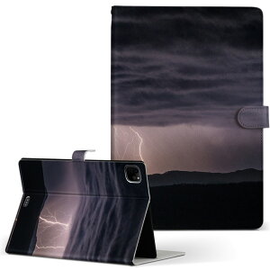 iPad Pro 11 1/2/3 iPad 7/8/9 iPad Air 4 iPad mini 1/2/3/4/5  Ή P[X Jo[ 蒠^ 蒠^Cv 018350  ʐ^ 