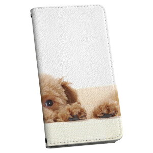 AQUOS Sense5G ��p �P�[�X �J�o�[ SH-53A docomo �h�R�� �蒠 igcase �X�}�R�� �蒠�^ �X�}�z�P�[�X �X�}�z�J�o�[ 002770 �A�j�}�� ���@�����@�ʐ^