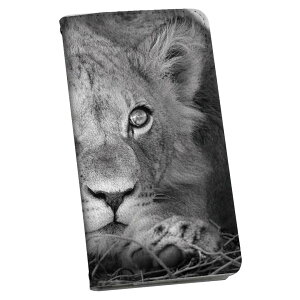 XPERIA XZ1 Compact SO-02K �G�N�X�y���A so02k �X�}�z�P�[�X �X�}�z�J�o�[ �P�[�X �J�o�[�@�蒠�^ �蒠�^�C�v �v igcase 007626 �A�j�}�� �ʐ^�@���m�N���@���C�I��