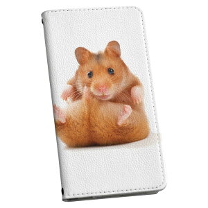 arrows NX F-01K A[Y NX p P[X Jo[ 蒠^ }Olbg s^bƕ܂ U[P[X f01k J[h[ |Pbg igcase 001075 nX^[@