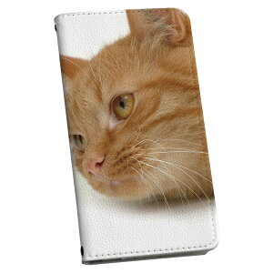 iPhone14plus 6.7 C` p eLA iPhone14 plus vX p P[X Jo[ 蒠^ }Olbg s^bƕ܂ U[P[X J[h[ |Pbg igcase 002741 L@@ʐ^