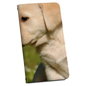 Galaxy S25 p SC-51F / SCG31 (SM-S931) ʑΉ 蒠^P[X Jo[sx51f 蒠^ }Olbg s^bƕ܂ U[P[X J[h[ |Pbg igcase 002794 @L@@ʐ^