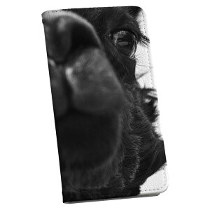 AQUOS wish2 / wish 用 手帳型 ケース カバー SH-51C / SHG06 / A104SH / SH-M20 共通対応 ケース カバー 手帳型 マグネット式 ピタッと閉まる レザーケース カード収納 ポケット 022854 写真 ラクダ