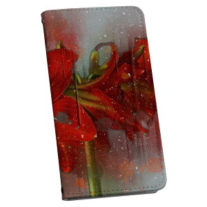 iPhoneSE P[X 2 / 3 iPhone 7 / iPhone 8 ʑΉ ACtH[ p P[X Jo[ 蒠^ }Olbg s^bƕ܂ U[P[X sc02k J[h[ |Pbg igcase 022855 ʐ^@ԁ@
