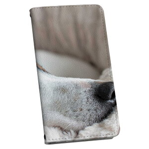 Galaxy S23 FE SCG24 p P[X Jo[ 蒠^ }Olbg s^bƕ܂ U[P[X J[h[ |Pbg 022865 @ʐ^