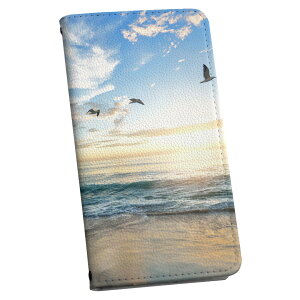 SC-03L Galaxy S10 ギャラクシー エステン 専用 ケース カバー 手帳型 マグネット式 ピタッと閉まる レザーケース sc03l カード収納 ポケット igcase 022947 写真 海 鳥 自然