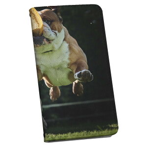 Google Pixel 9 Pro XL 専用 ケース カバー 手帳型 マグネット式 ピタッと閉まる レザーケース pixel9proxl カード収納 ポケット igcase 023041 犬 動物 写真