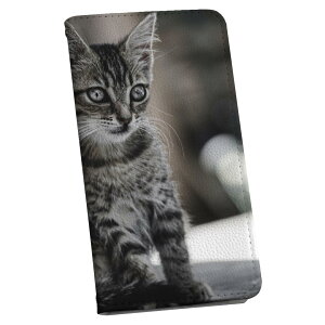 Galaxy S20 5G SC-51A MNV[ p P[X Jo[ 蒠^ }Olbg s^bƕ܂ U[P[X sc51a J[h[ |Pbg igcase 023094 L@˂@@ʐ^