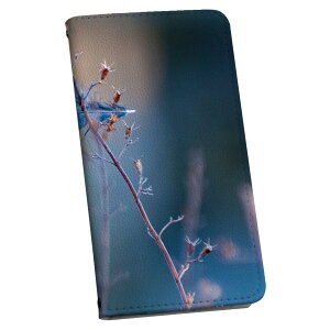 SC-03L Galaxy S10 MNV[ GXe p P[X Jo[ 蒠^ }Olbg s^bƕ܂ U[P[X sc03l J[h[ |Pbg igcase 023271 H@tFU[