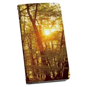 iPhone16pro 6.3C` p eLA iPhone 16 pro ʑΉ P[X Jo[ 蒠^ }Olbg s^bƕ܂ U[P[X iphone16pro J[h[ |Pbg igcase 025682 R@X@[@