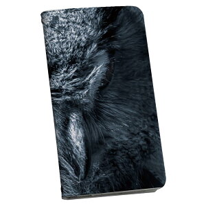 arrows We2 F-52E p P[X Jo[ 蒠^ }Olbg s^bƕ܂ U[P[X f52e J[h[ |Pbg igcase 025765 tNE@@