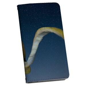 L-03K LG Electronics LG style GW[X^C p P[X Jo[ 蒠^ }Olbg s^bƕ܂ U[P[X l03k docomo J[h[ |Pbg igcase 025873 @@t[c