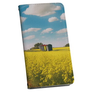 arrows We2 F-52E p P[X Jo[ 蒠^ }Olbg s^bƕ܂ U[P[X f52e J[h[ |Pbg igcase 033644 ؂̉Ԕ