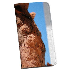 Xperia XZ2 SO-03K GNXyA XZ2 p P[X Jo[ 蒠^ }Olbg s^bƕ܂ U[P[X so03k J[h[ |Pbg igcase 004542 V[T[@@ʐ^